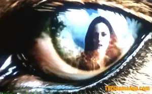 Horror Film: The Twilight Saga: New Moon, Kristen Stewart in the Eyes of the Wolf.