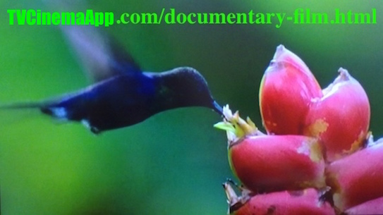 TVCinemaApp.com - Documentaries: on the life and habitats of birds and pants and the changes in this life.