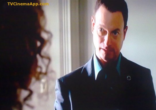 I Watch Best TV Photo Gallery: Gary Sinise as Mac Taylor on CSI NY.