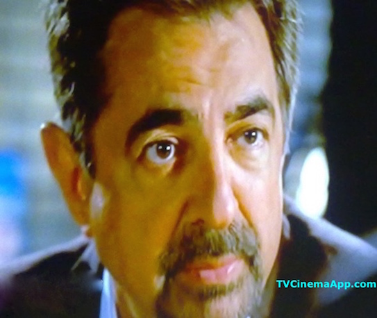 I Watch Best TV Photo Gallery: David Rossi Portraying Joe Mantegna on the TV serial Criminal Minds.