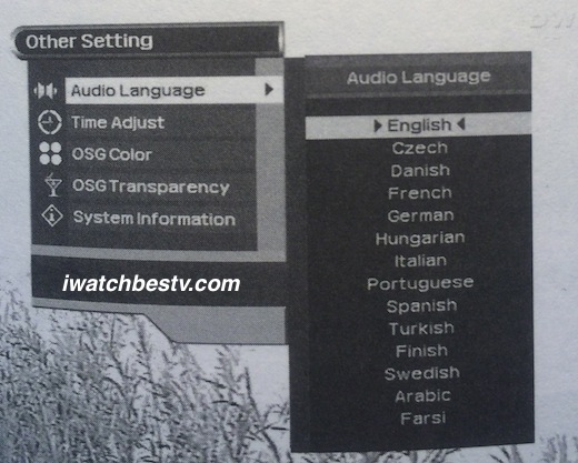 Satellite Direct TV: The Audio Language Setting.