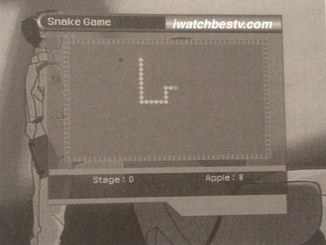 Satellite TV Installation: The Snake Game in the Utility in the Main Menu Operation.