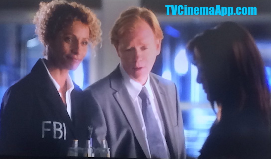 TVCinemaApp.com - CSI: David Caruso, Horatio Caine at the Beginning of the Serial with Natalia Boa Vista (Eva LaRue).